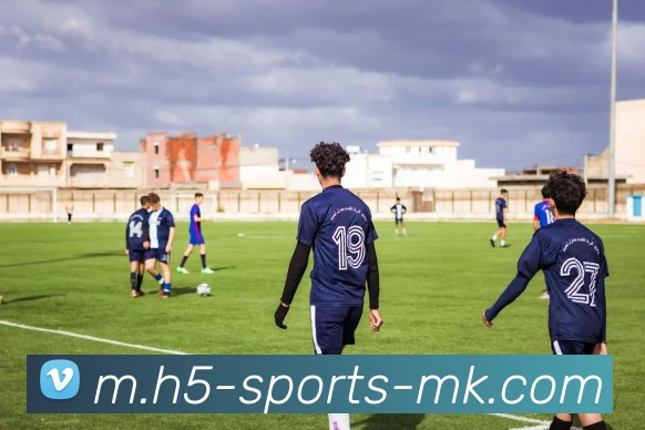 MK体育平台生态图